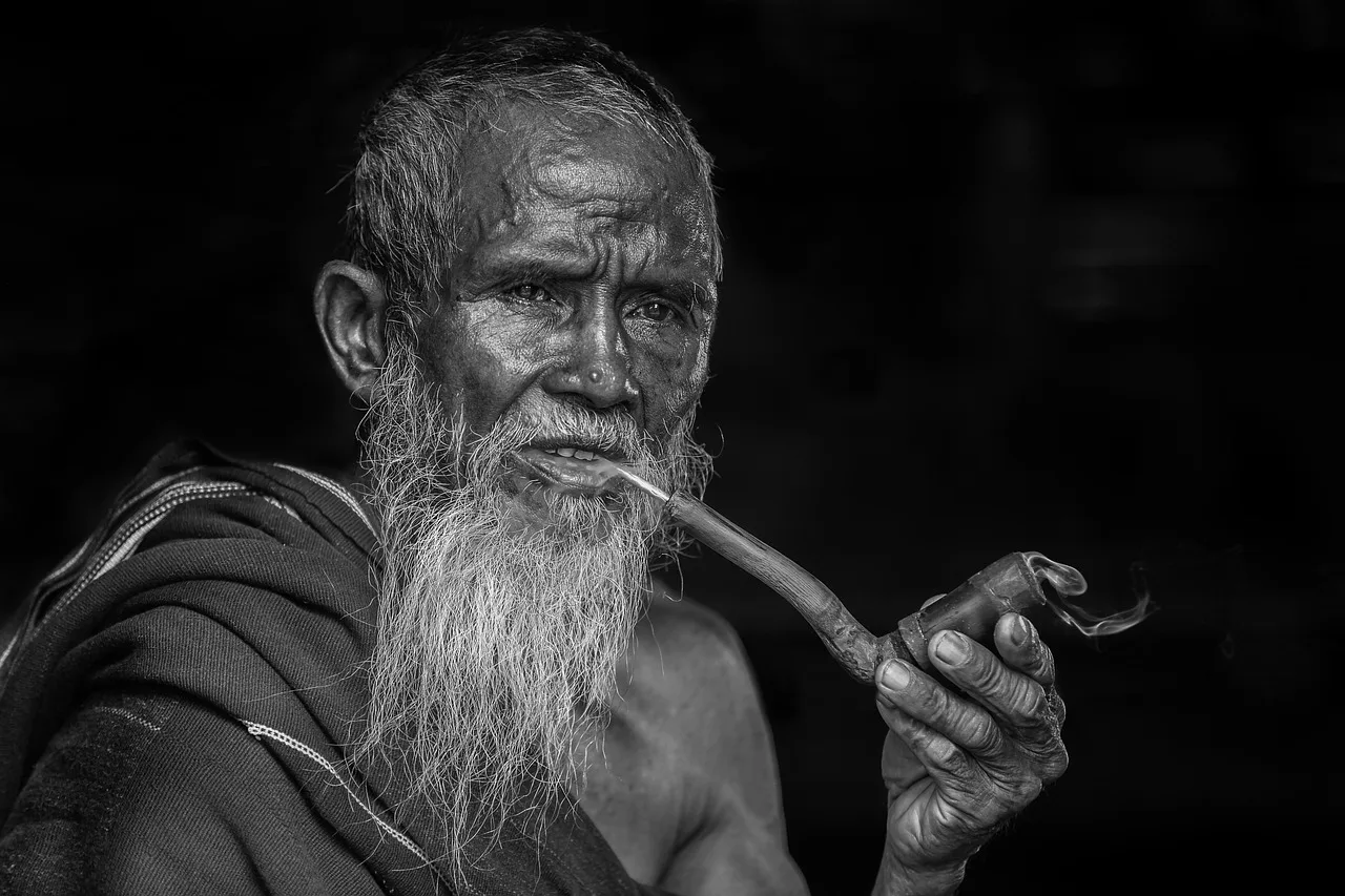 The Neuroscience of Ageing