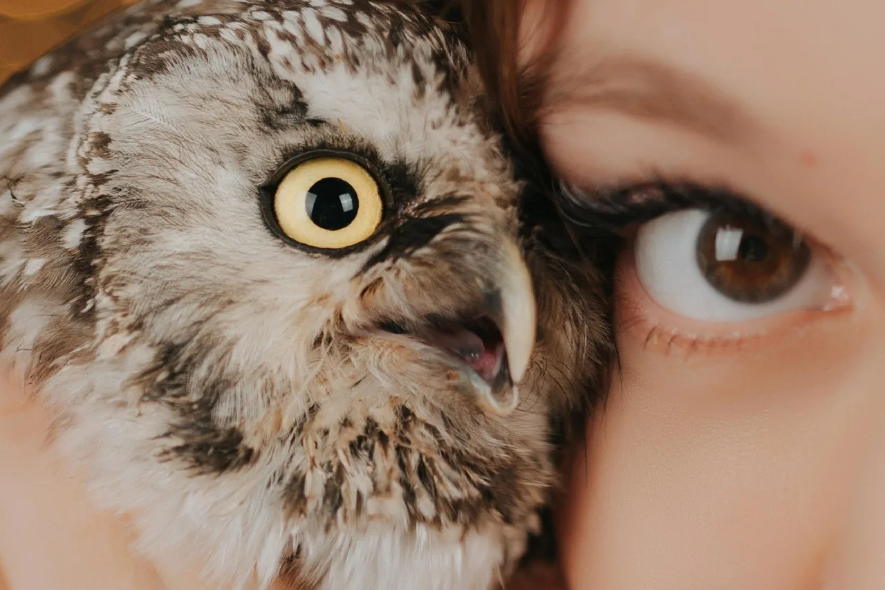 The Neuroscience of Attraction