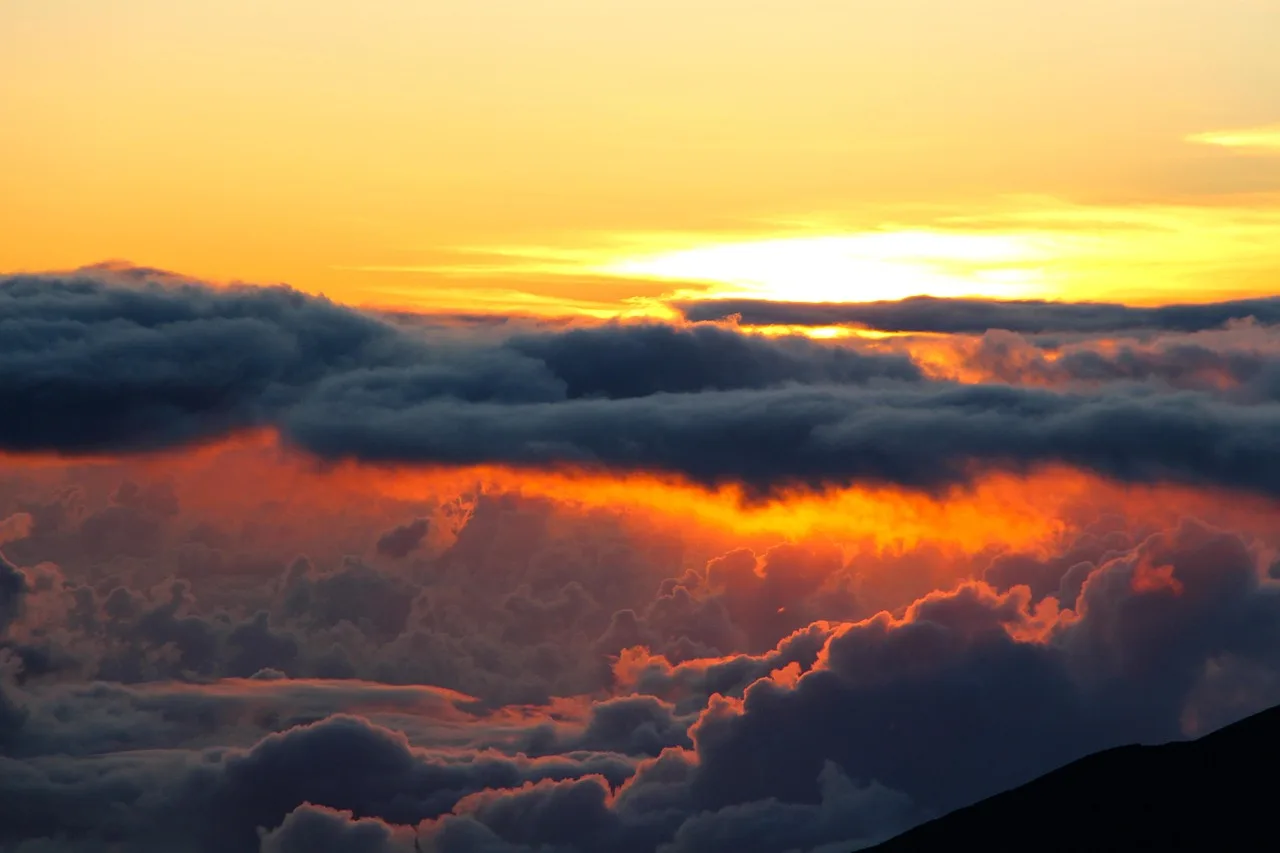 The Neuroscience of Circadian Rhythms