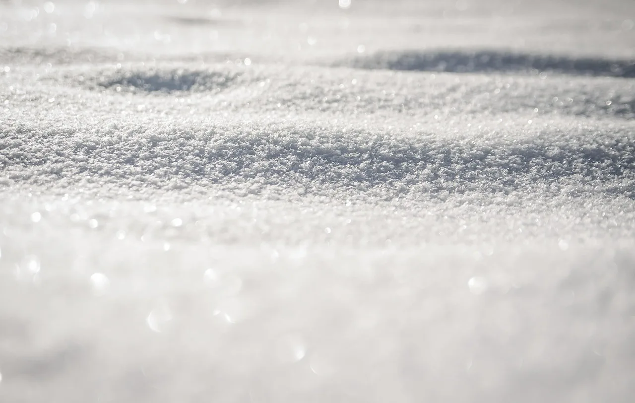 The Neuroscience of Cocaine