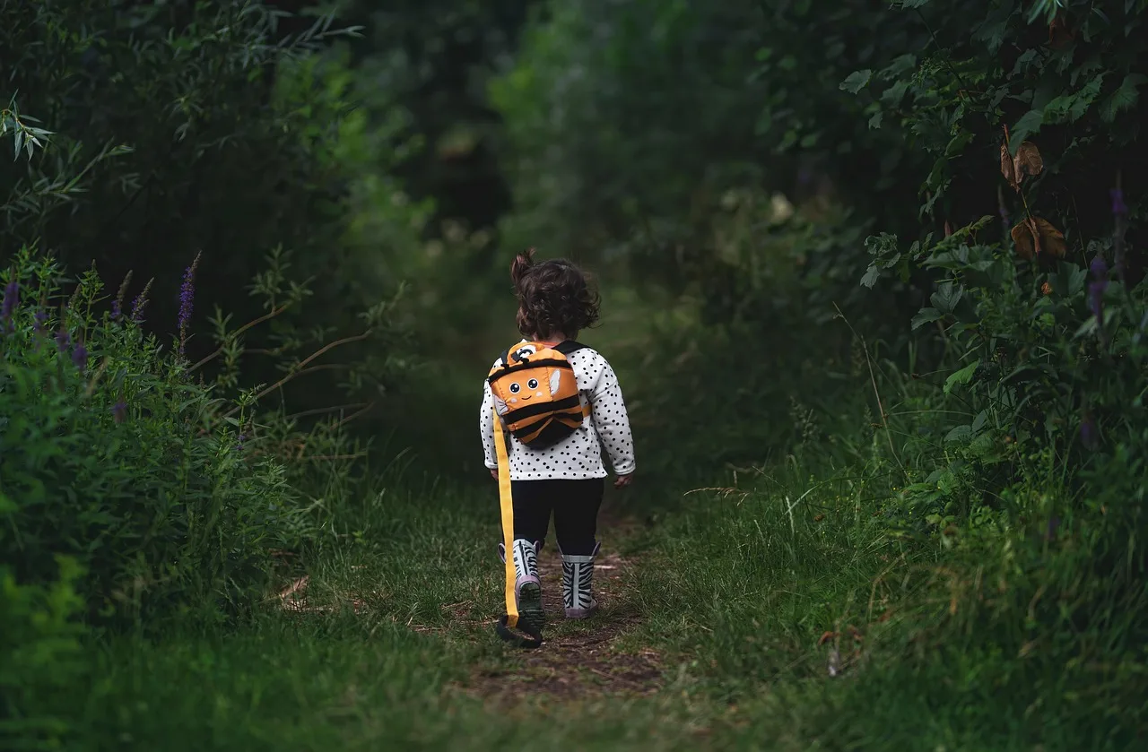 The Neuroscience of Curiosity