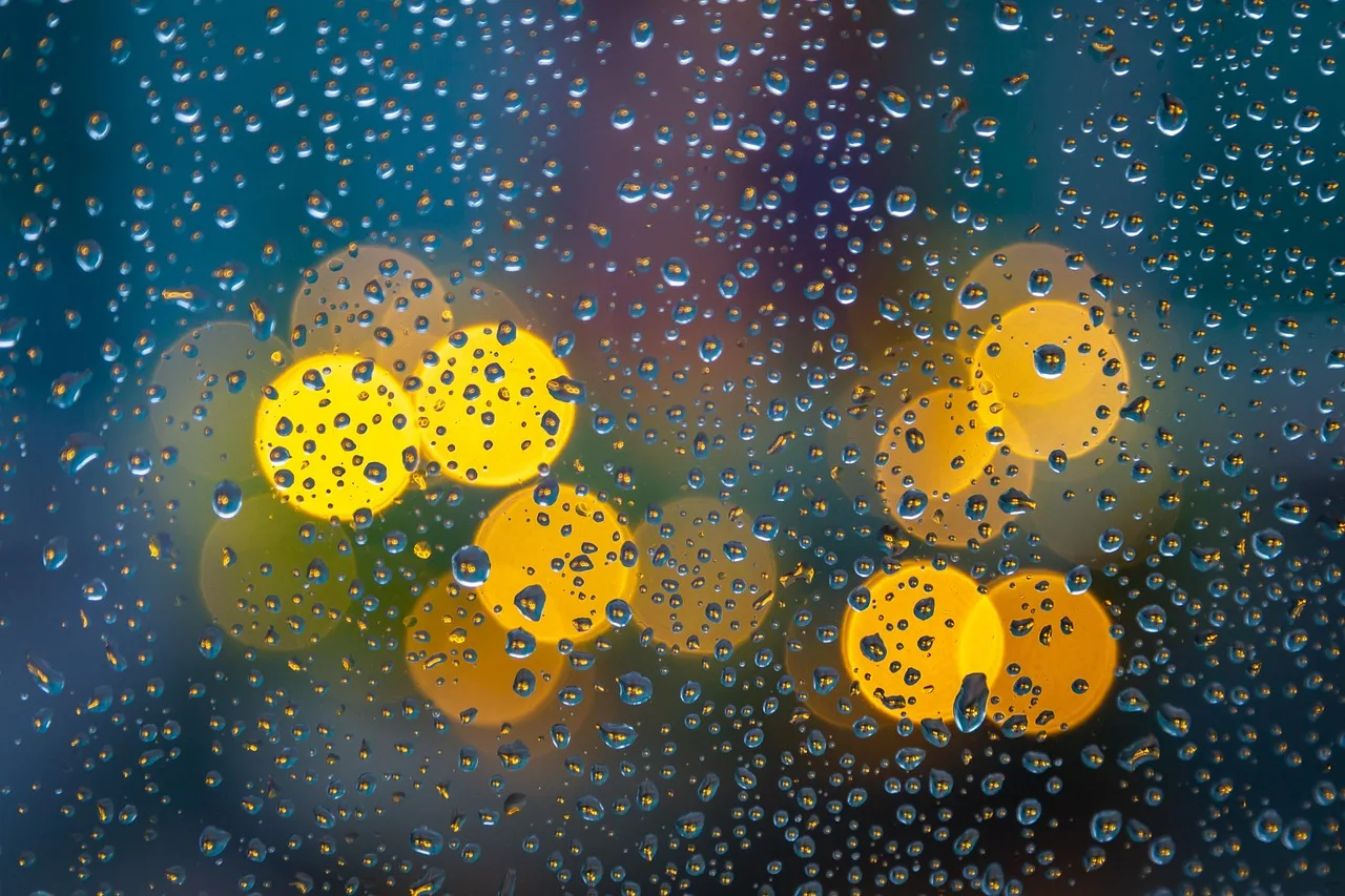The Neuroscience of Dissociation
