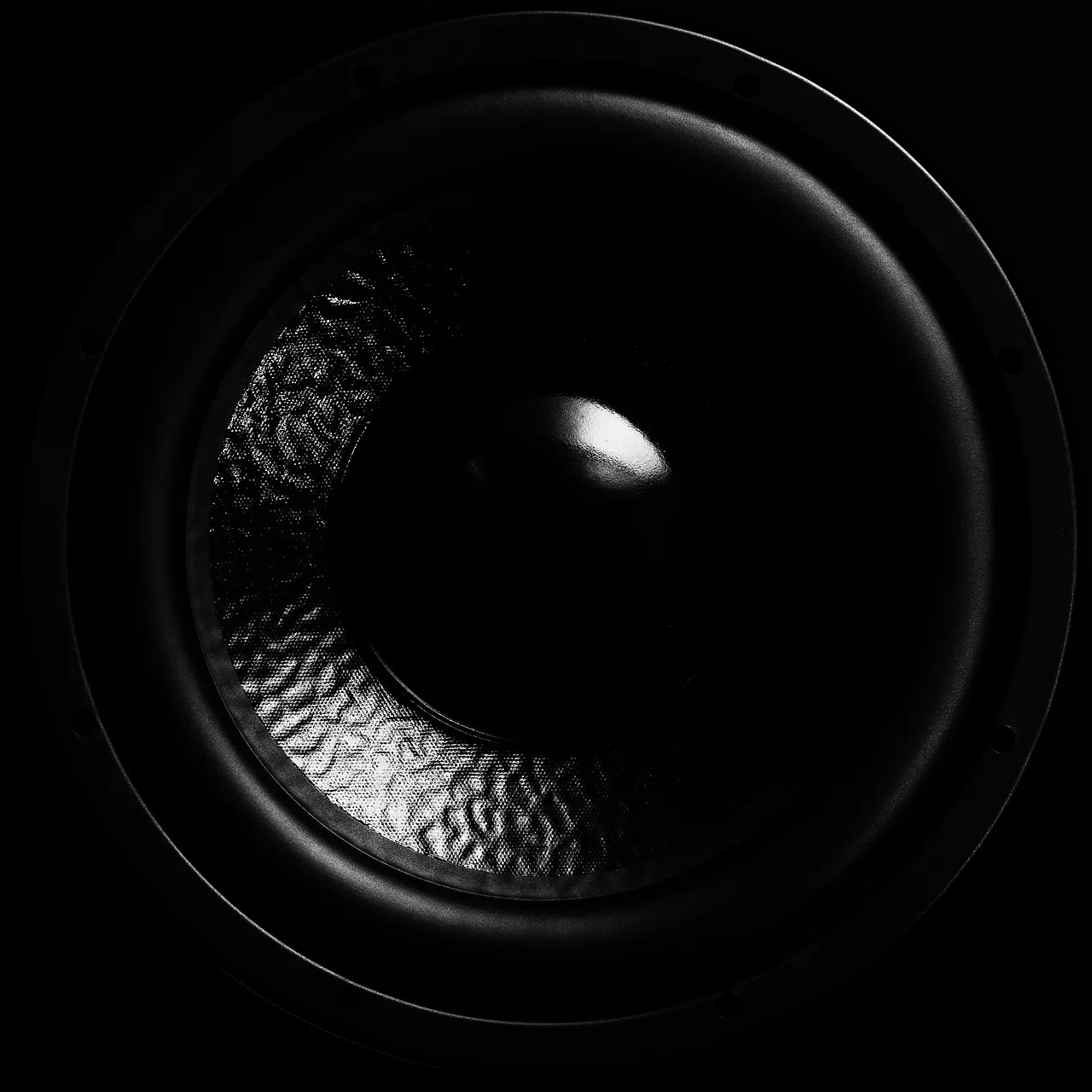 The Neuroscience of Drum & Bass