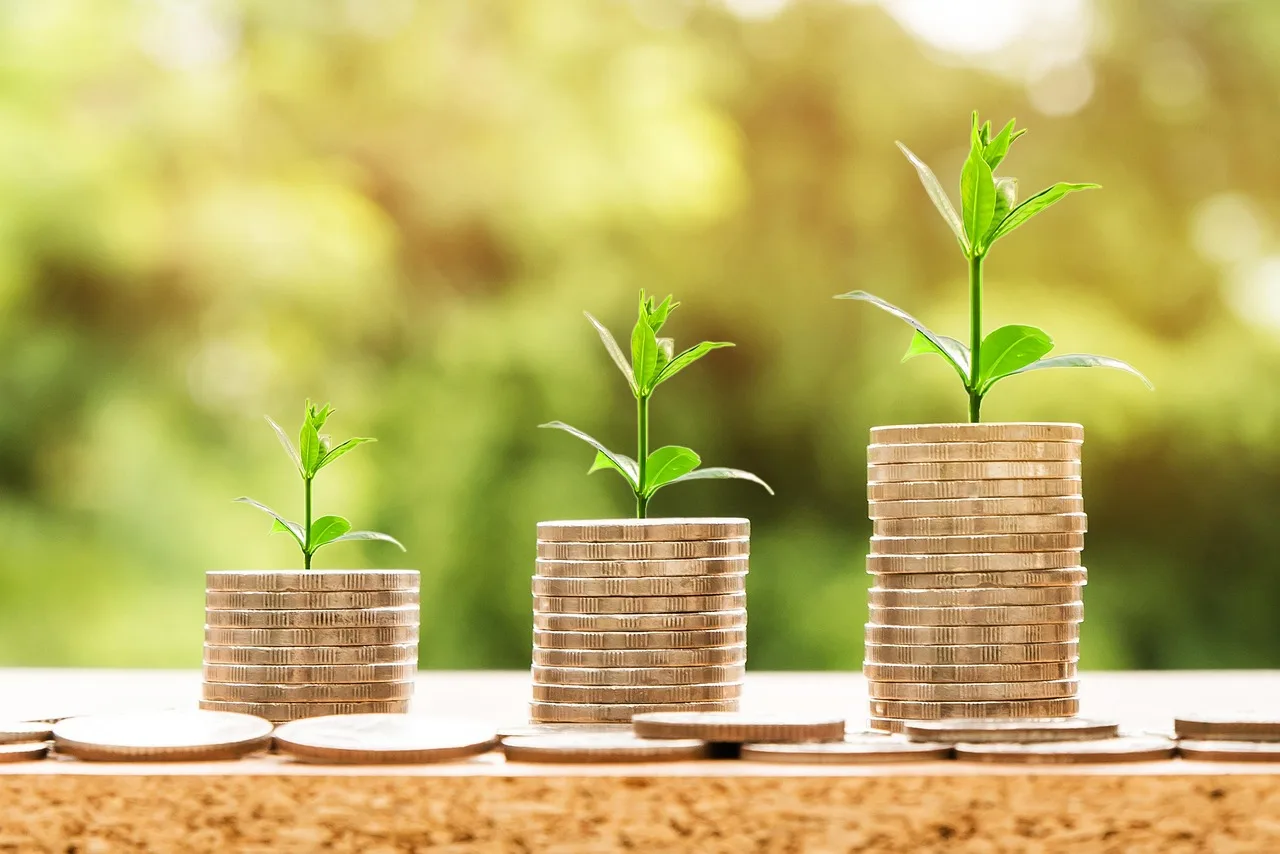 The Neuroscience of Financial Brain
