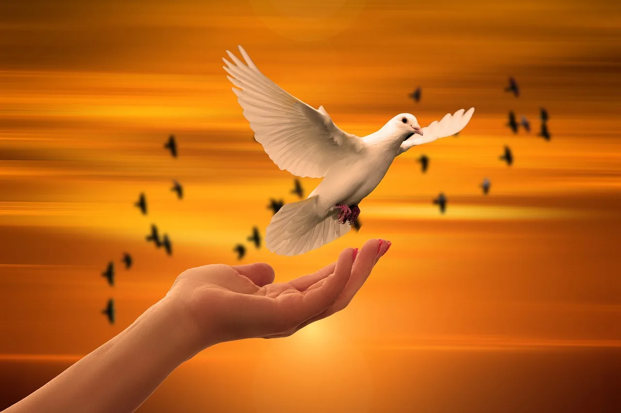The Neuroscience of Forgiveness in Faith
