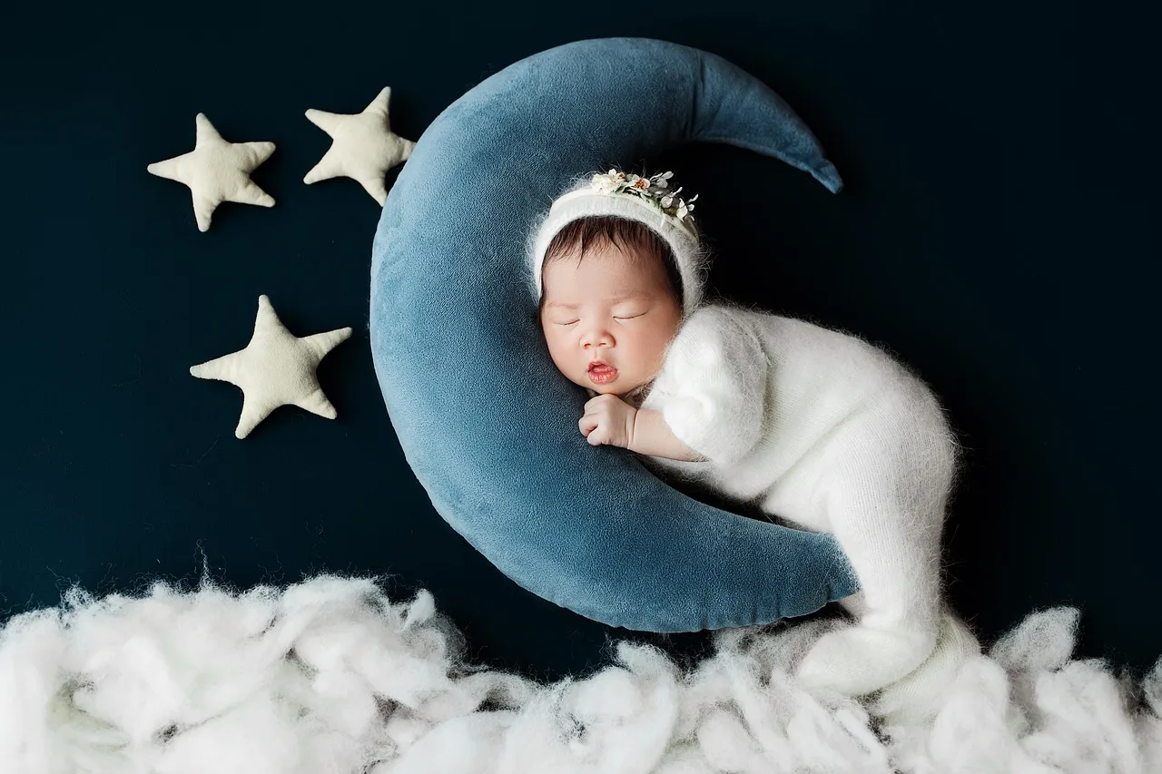 The Neuroscience of Insomnia