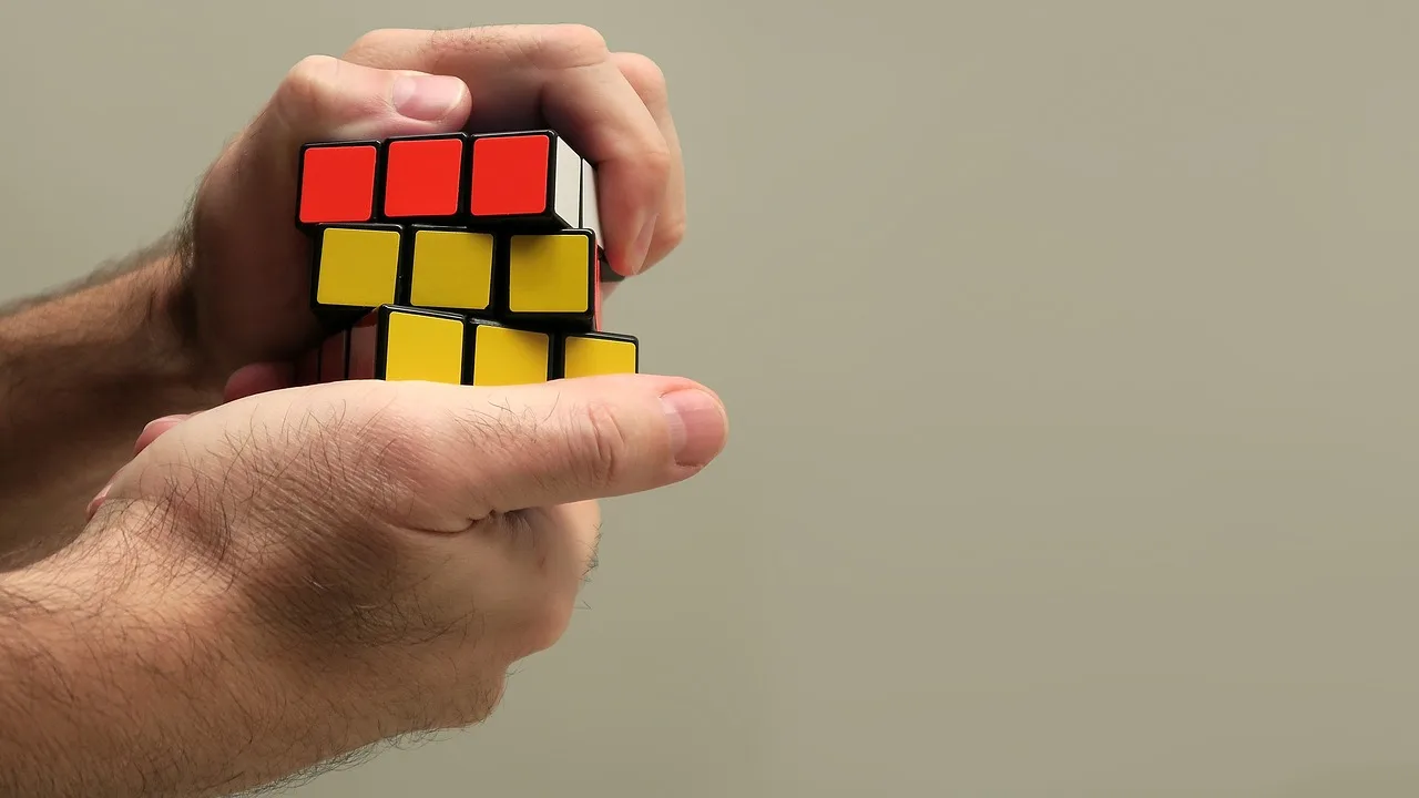 The Neuroscience of Problem Solving