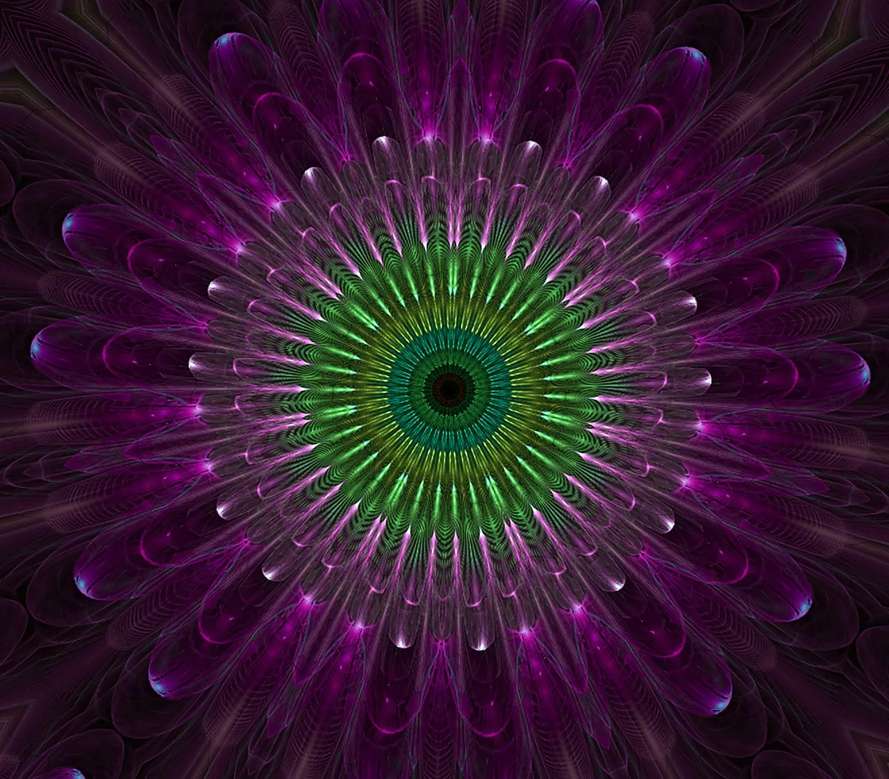 The Neuroscience of Psychedelic Music