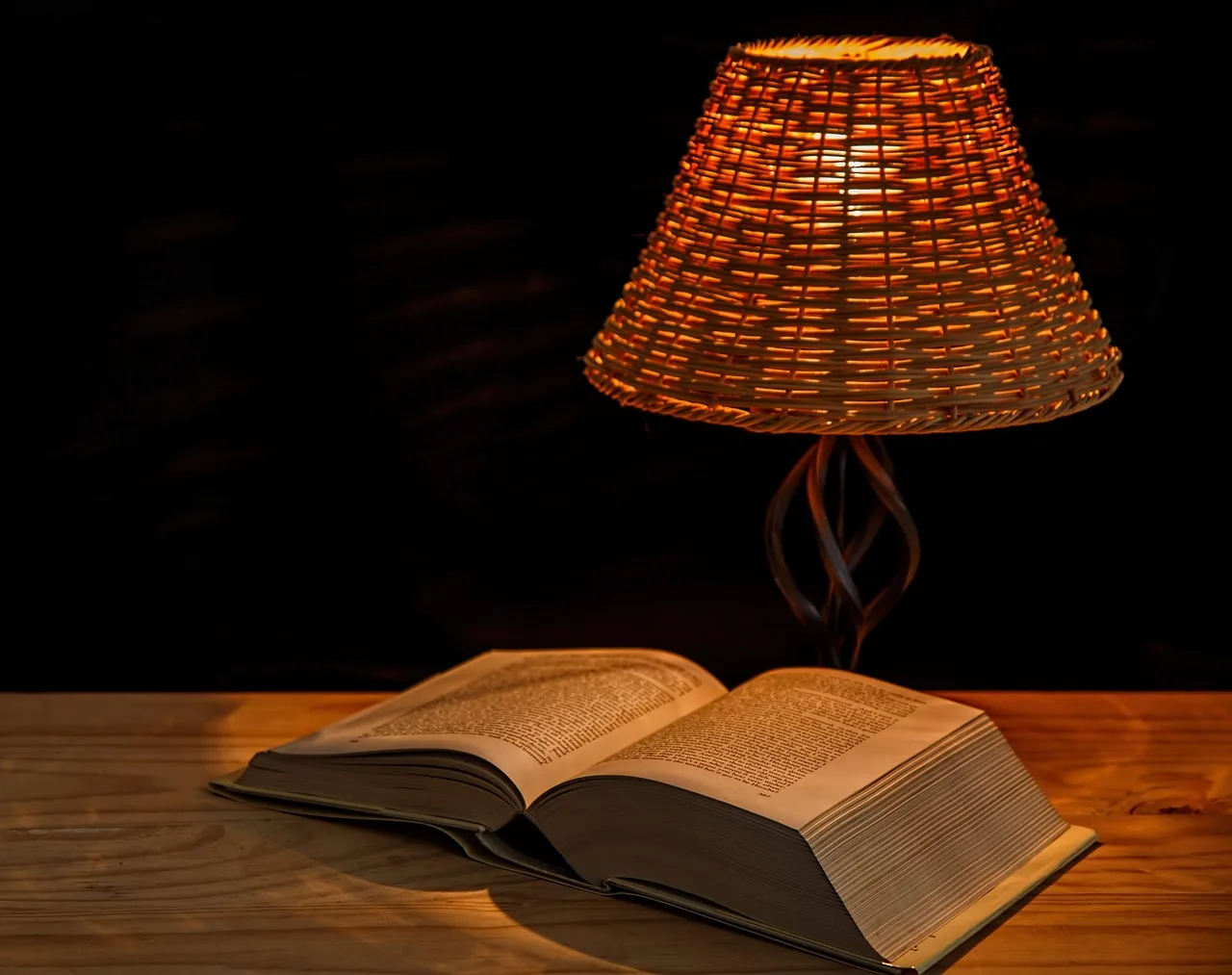 The Neuroscience of Reading