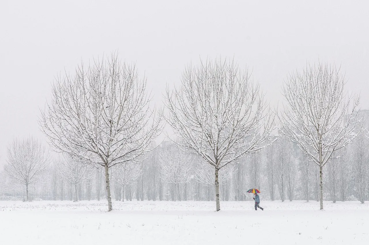 The Neuroscience of Seasons and Mood