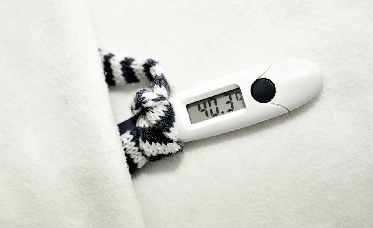 The Neuroscience of Sickness Behaviour