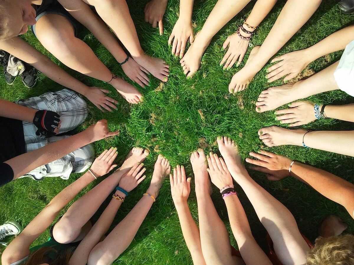 The Neuroscience of Social Pruning
