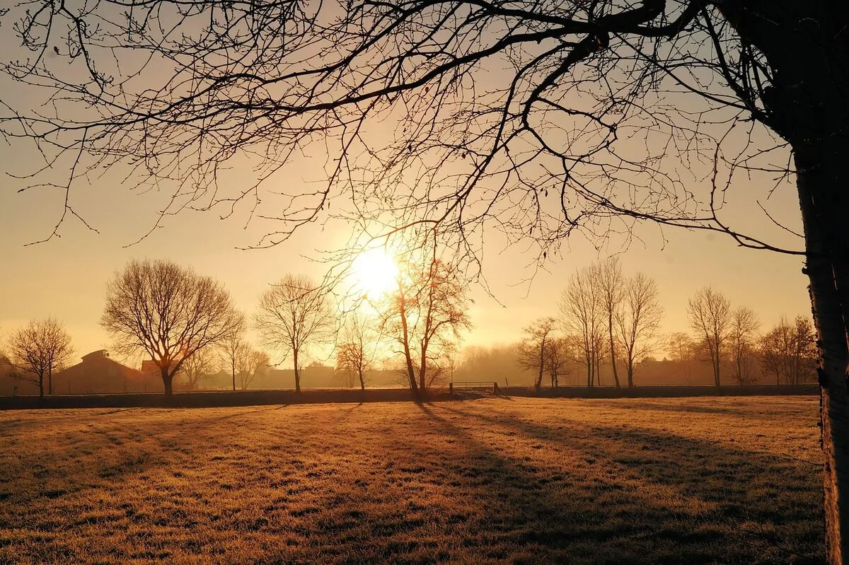 The Neuroscience of Sunlight