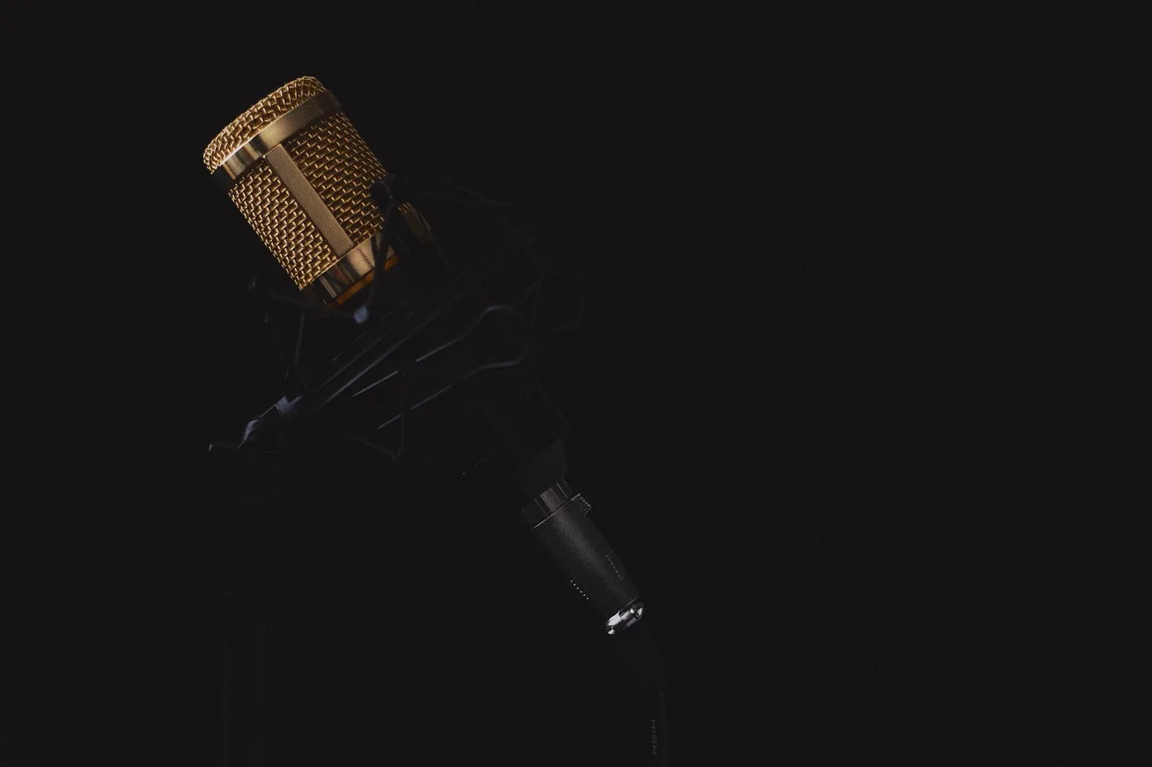 The Neuroscience of Tone of Voice