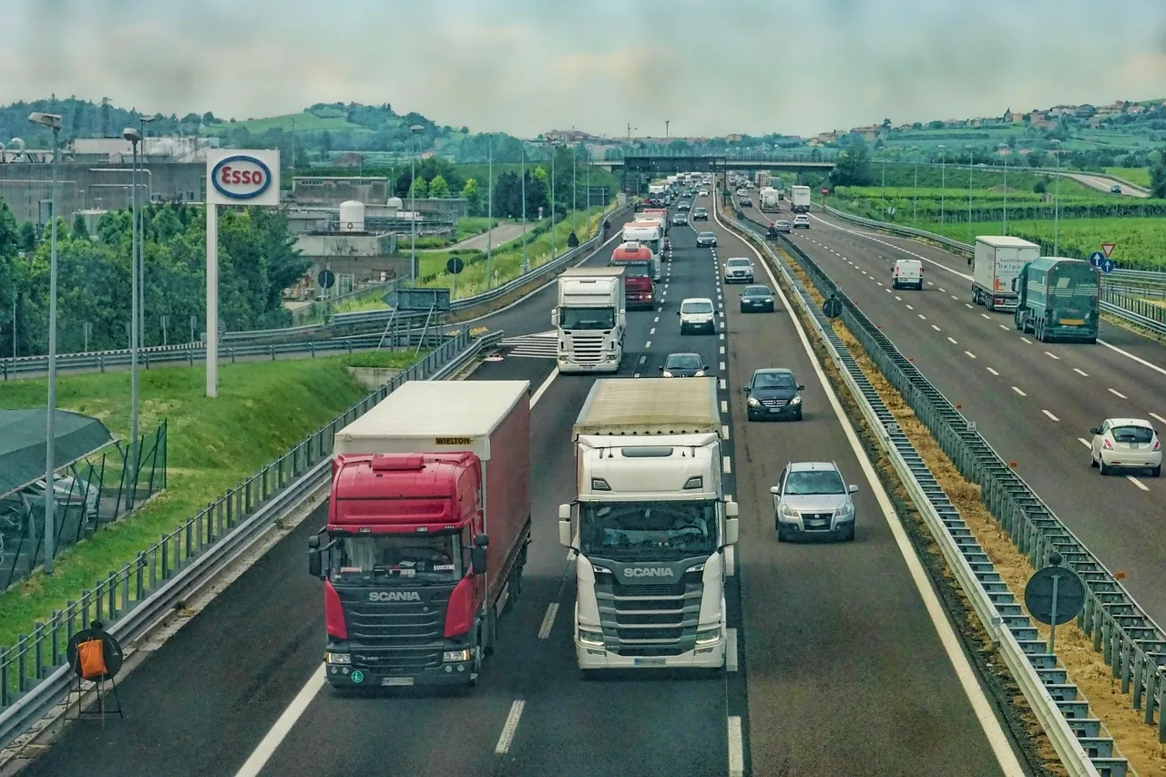 The Neuroscience of Transport